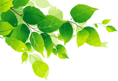 常務(wù)副校長(zhǎng)吳金橋同志第一次升國(guó)旗儀式上的主旨講話(圖2)