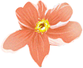 常務(wù)副校長(zhǎng)吳金橋同志第一次升國(guó)旗儀式上的主旨講話(圖5)