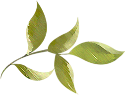 常務(wù)副校長(zhǎng)吳金橋同志第一次升國(guó)旗儀式上的主旨講話(圖8)