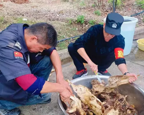 牛頭盛宴，味蕾狂歡(圖22)